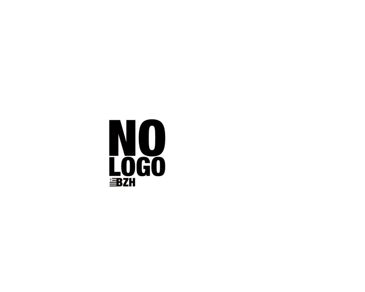 NO-LOGO-BZH-WEBP
