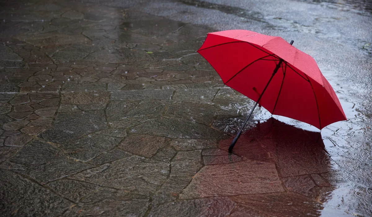 Parapluie-personnalise.webp